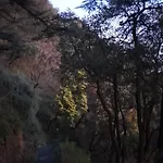 The Bird Suite At Landour Retreat
