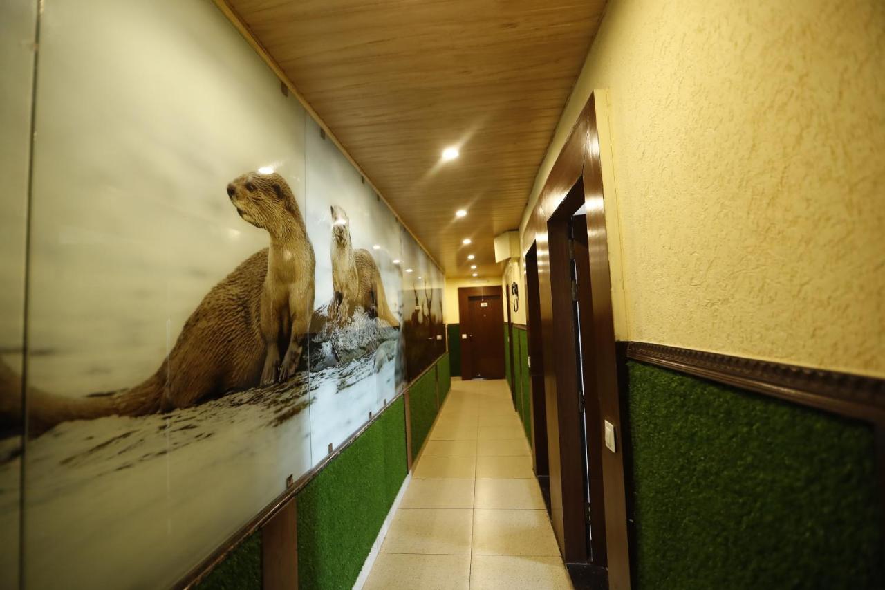 Kings Hotel 4*