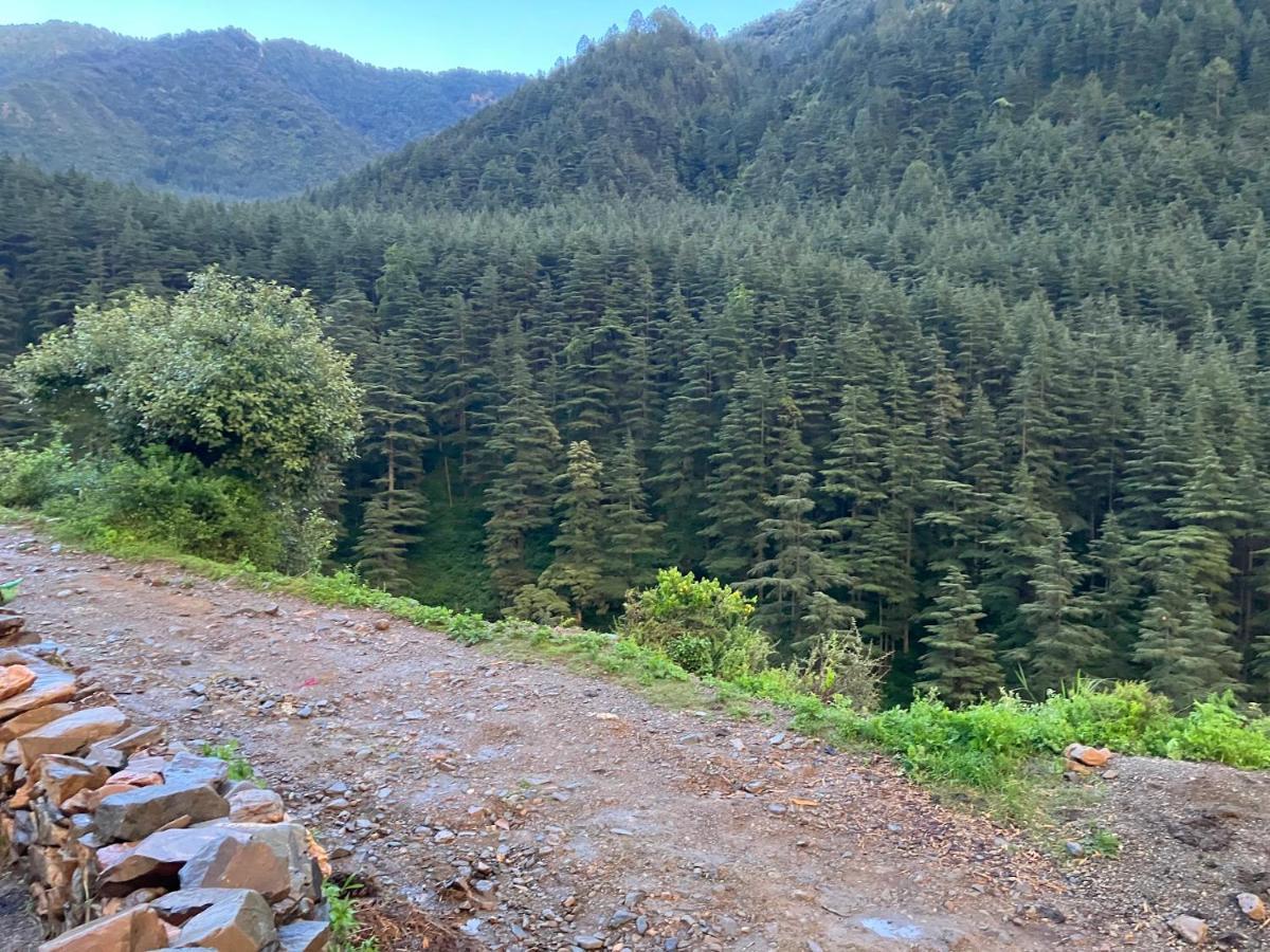 Shoonya - Devalsari Deodar Forest Range - 60min From Homestay