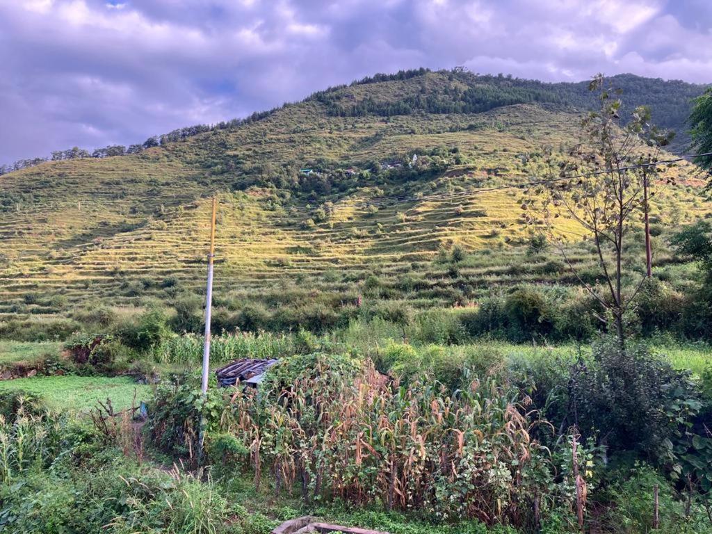 Homestay Shoonya - Devalsari Deodar Forest Range - 60min From *