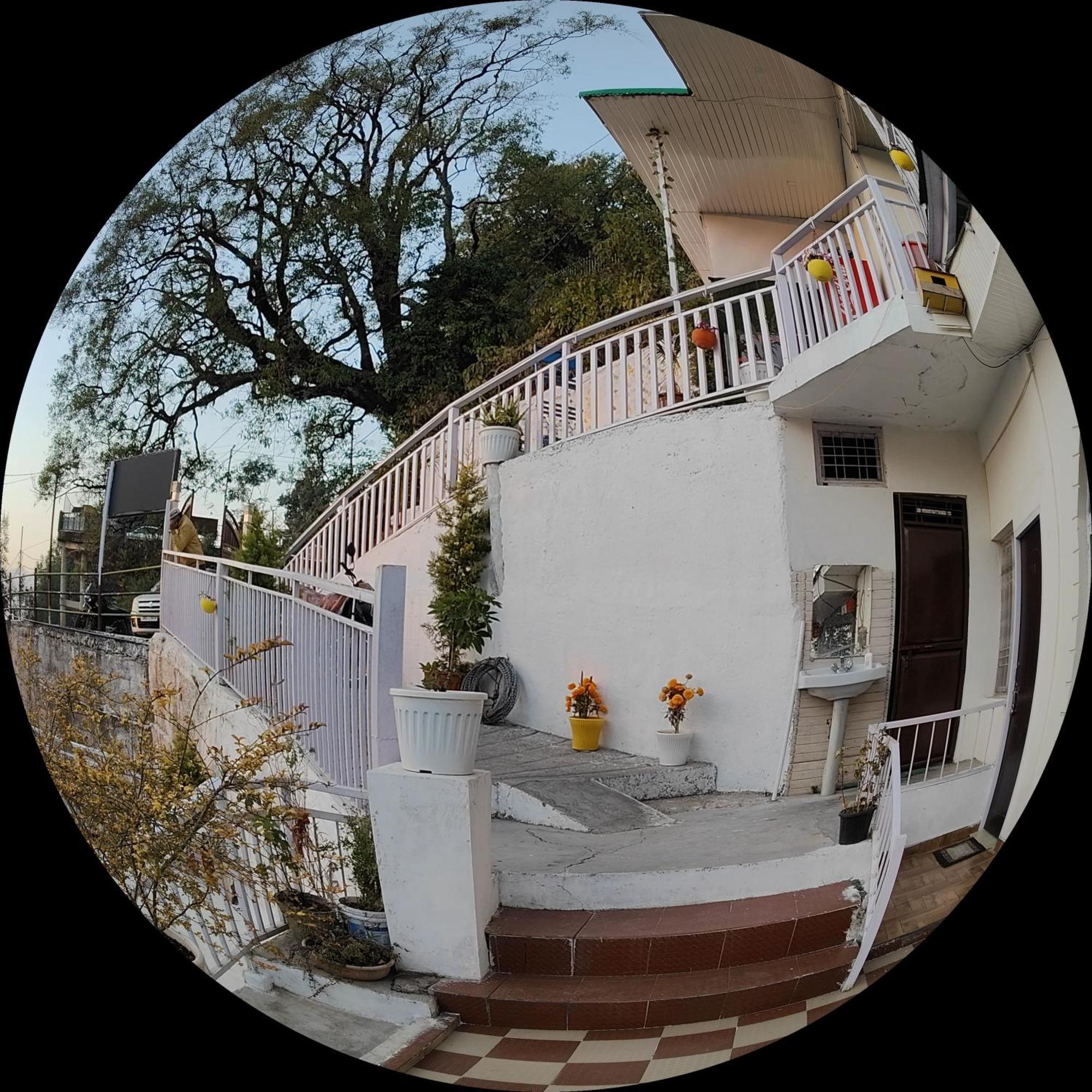 Golden Oak Homestay *