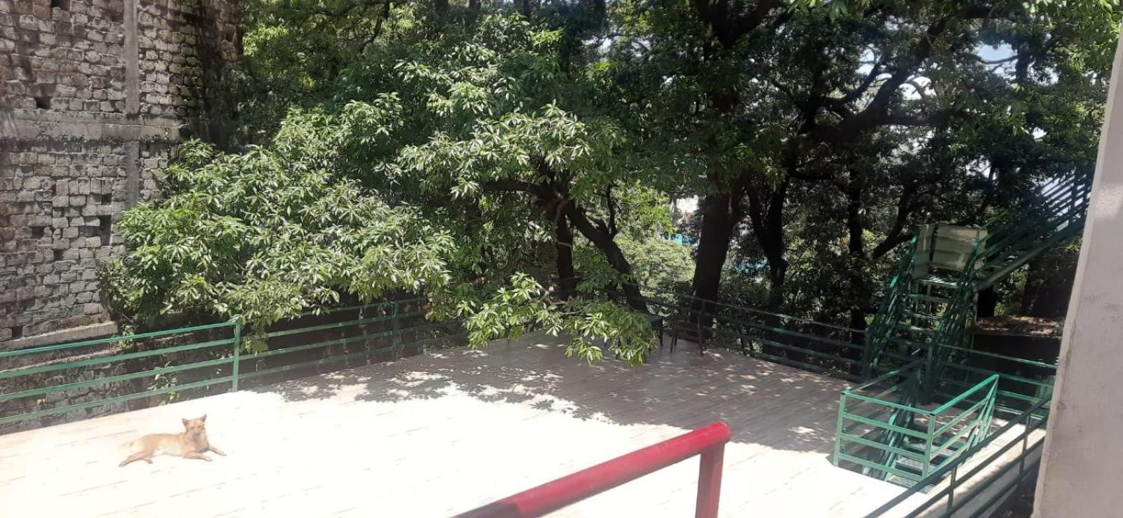 Jungle Zostel Kaushik * Mussoorie