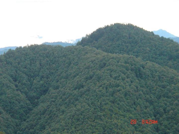 Hotel Jain Regency Mussoorie
